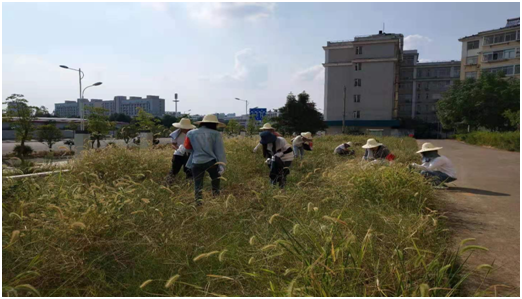 1567049017355227.png image.png